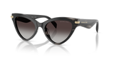 Black Horn / Light Grey Gradient (40348G)