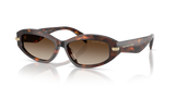 Luggage Tortoise / Smoke Gradient (403113)
