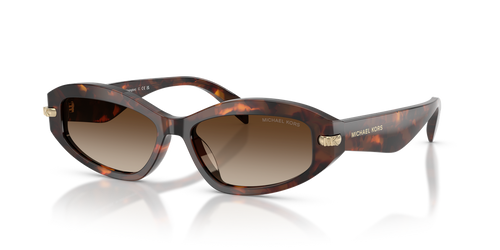 Luggage Tortoise / Smoke Gradient (403113)