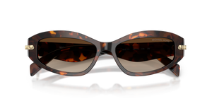 Luggage Tortoise / Smoke Gradient (403113)
