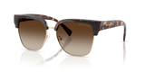 Dark Tortoise / Smoke Gradient (300613)