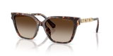 Dark Tortoise / Smoke Gradient (300613)