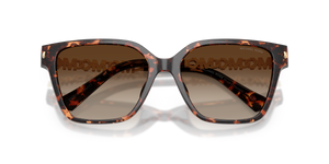 Dark Tortoise / Smoke Gradient (300613)