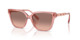 Pink Transparent / Pink Gradient Dark Brown (310113)