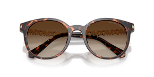 Dark Tortoise / Smoke Gradient (300613)