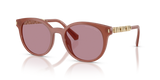 Primrose / Rose Mirror (403084)