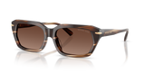 Brown Horn / Brown Solid Polarized (4039T5)