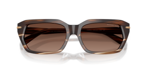 Brown Horn / Brown Solid Polarized (4039T5)
