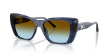 Navy / Brown Blue Gradient (30025D)