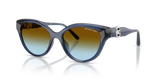 Navy / Brown Blue Gradient (30025D)