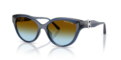 Navy / Brown Blue Gradient (30025D)