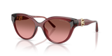 Rosewood / Brown Rose Gradient (317511)
