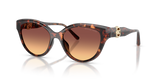 Luggage Tortoise / Brown Gradient (403178)