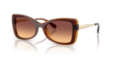 Dark Brown / Brown Gradient (311378)
