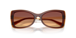 Dark Brown / Brown Gradient (311378)