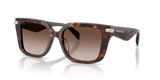 Luggage Tortoise / Smoke Gradient (403113)