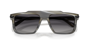 Horn / Grey Polarized (4047T3)
