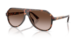 Dark Tortoise / Smoke Gradient (300613)