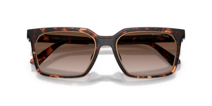 Dark Tortoise / Smoke Gradient (300613)