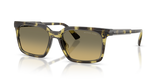 Olive Tortoise / Olive Gradient (4029L0)