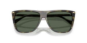 Sage Tortoise / Green (394771)