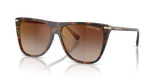 Mahogany Tortoise / Brown Gradient Mirror Red (4039AO)