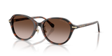 Mahogany Tortoise / Brown Gradient (403913)
