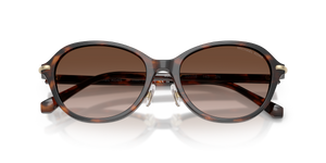 Mahogany Tortoise / Brown Gradient (403913)