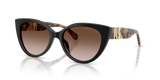 Black / Brown Gradient (300513)