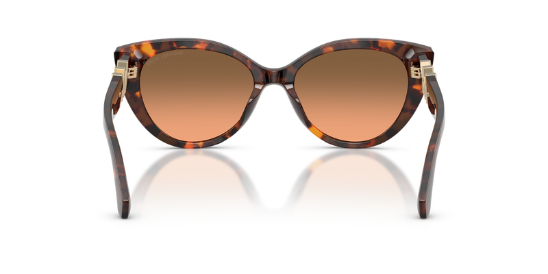 Michael Kors CATALINA in Luggage Tortoise - Alternate View
