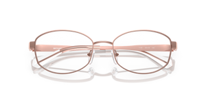 Rose Gold / Demo Lens (1108)