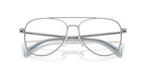Shiny Gunmetal / Demo Lens (1002)