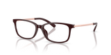 Cordovan / Demo Lens (3344)