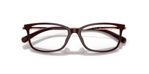 Cordovan / Demo Lens (3344)
