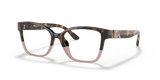 Tortoise / Demo Lens (3909)