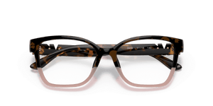 Tortoise / Demo Lens (3909)
