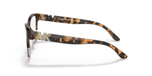 Tortoise / Demo Lens (3911)