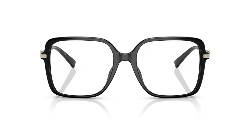 Michael Kors DOLONNE in Black / Demo Lens (3005) - Alternate View