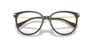 Olive / Demo Lens (3902)