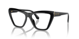 Black / Demo Lens (3005)