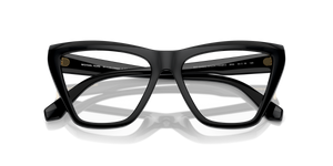 Black / Demo Lens (3005)