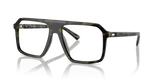 Olive Tortoise / Demo Lens (3943)