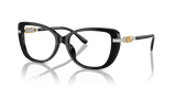 Black / Demo Lens (3005)