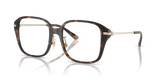 Dark Tortoise / Demo Lens (3006)