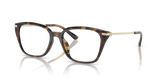 Dark Tortoise / Demo Lens (3006)