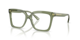 Green Transparent / Demo Lens (3944)