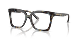 Blue Tortoise / Demo Lens (3952)