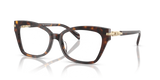 Dark Tortoise / Demo Lens (3006)