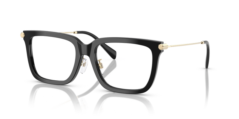 Michael Kors GUILIN in Black / Demo Lens (3005) - Front View