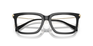 Black / Demo Lens (3005)